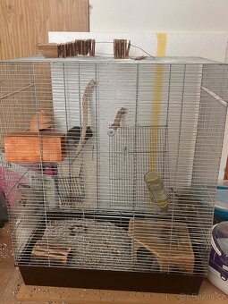 Prodám Osmáky Degu s veškerým vybavením - 2