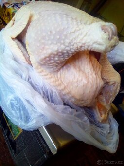 Domácí vykrmená kuřata-výkrm 120 dnů a více, lahodné maso. - 2