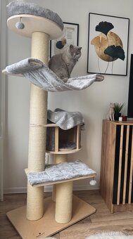Škrabadlo pro kočky - 2