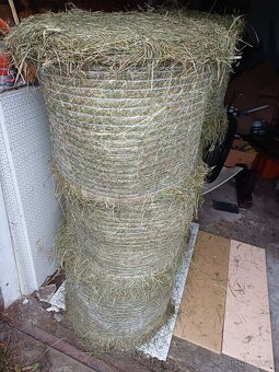 seno pro králíky, morčata, kozy, ovce - 2