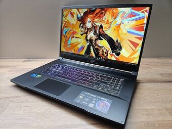 17,3"_MSI KATANA 17 B13V_i7-13620H_16GB_RTX 4070 8GB - 2