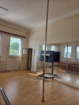 2x profi pole dance tyč, nerez, 370cm, průměr 1x45mm, 1x50mm - 2