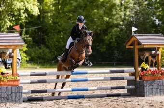 Pony B do sportu - 2