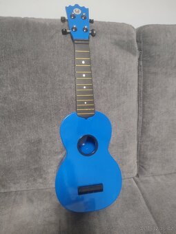 Ukulele a obal na ukulele - sada - 2