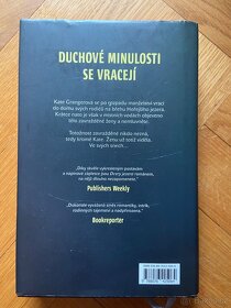 Kniha Dcery jezera, Wendy Webb - 2