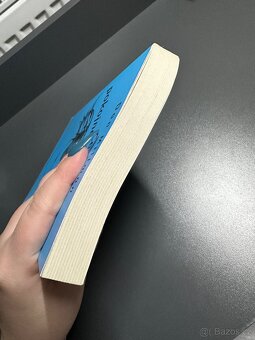 Cesta pokojného bojovníka - 2