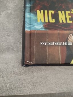 Stefan Ahnen Nic než pravda - 2