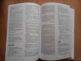 Český jazyk a literatura přehled k maturitě - 2