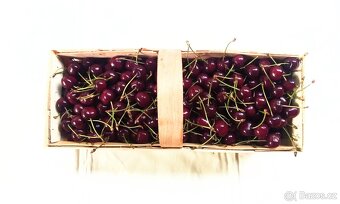 Sladké zralé třešně - košík 3kg - 2