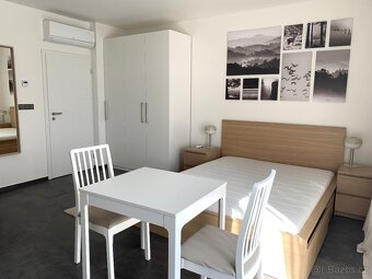 Pronájem vybaveného 1+kk s klimatizací a terasou u Campusu - 2