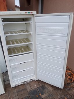 Suplikovy mrazak Snaige - 2