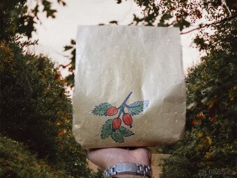 Kvalitní Sušené půlené šípky 🌹 - 2