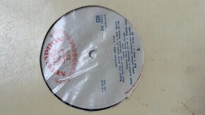 Voskovec Werich gramofonové desky - 2