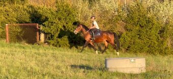 pony klisna - 2