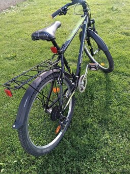 Kolo Leader Fox 18" - 2