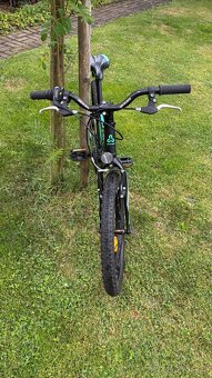 CTM Jerry 3 vel. 20 + helma 52-55 cm - 2
