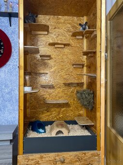 Prodám voliéru pro činčily + dvě činčily (bratři, 3 roky) - 2