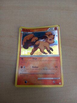 Pokémon Trading Card Game - 2