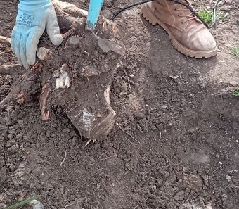 zahradnicky servis - 2