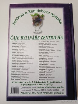 Tajemství zbloudilých duší - Božena Koubová - 2