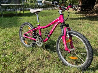 Dětské kolo Specialized 20 - 2