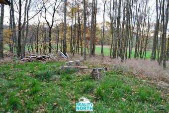 Prodej podílu 49/100 ostatní pozemky, 11 599 m2 - Stráž pod - 2
