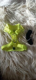 Postroj -Dogs XS - 2