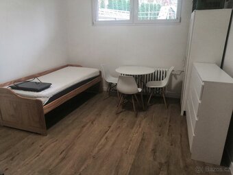 Pronájem bytu 1kk vše v ceně - 2