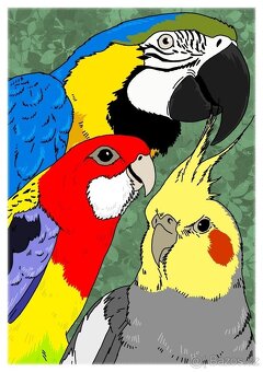 Výstava ZO ČSCH- CHODOV - 2