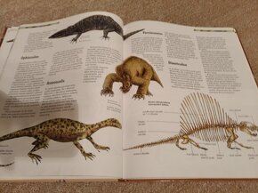 Dinosauři (2) - 2