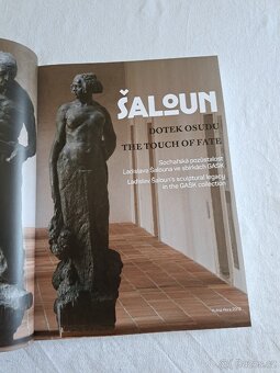 Publikace ŠALOUN DOTEK OSUDU. --- PRODÁNO--- - 2