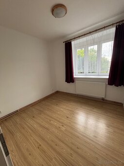 Byt U prvni baterie, 2kk, 50m2, s vychodem na zahradu - 2