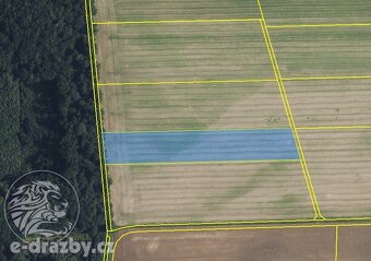 Prodej podílu 1/6 pole 11 414 m², Libníkovice - 2