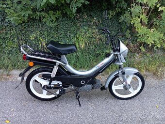 Manet Korado PĚKNÝ - 2