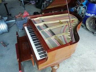 Klavírní křídlo - 2