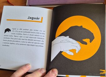 Kniha Sťínohra - 2