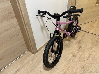 Kolo Rascal 16 - 2