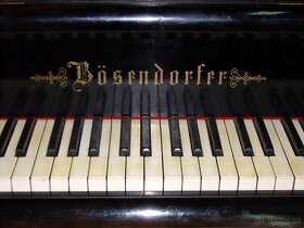 Koupím klavír zn. Bösendorfer - 2