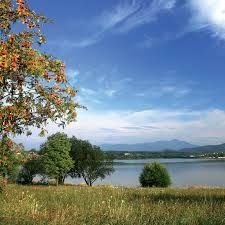 Pronájem zahrady 860 m2 - Olešná FM - 2