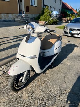 Hecht citis white - 2
