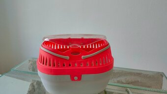 Terárium 60x30 a přepravní box (zdarma) - 2