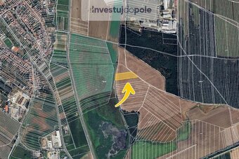 Prodej pole v k.ú. Svatobořice - 2