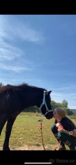 Hledám brigádu okolo Plzně - 2