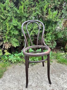 Židle z ohýbaného dřeva - Thonet (2 ks) - 2