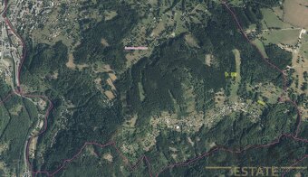 Prodej pozemků 2920 m2 v k.ú. Šumburk nad Desnou - 2