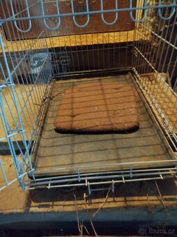 Klec pro malé a střední plemena - 2