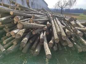 Palivové drevo - 2