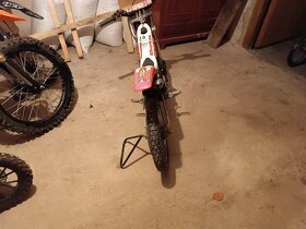 Trial Beta 50 - 2
