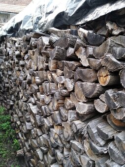 Palivové dřevo - 2