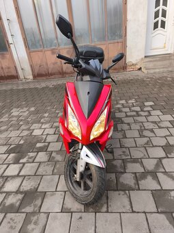 Maxon Matador 125 cm - 2